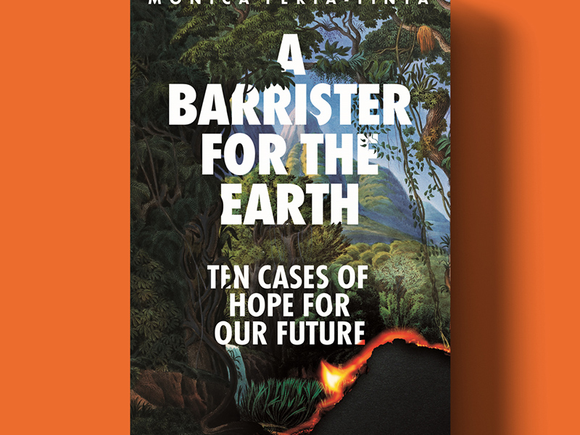 Front cover of Monica's book, A Barrister for the Earth, white text on greenery and mountains.
