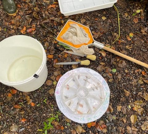The sampling kit - a net, bucket, ID sorter and counter