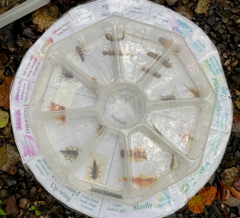 Close up of the idenitifcation tool, a circualr container with pictures on the bottom